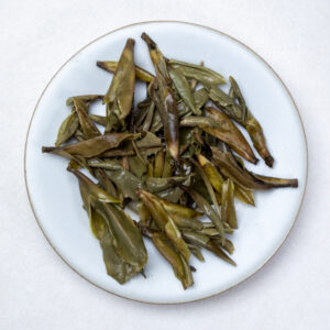 White tea wet leaves